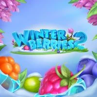 10378_Winterberries_2